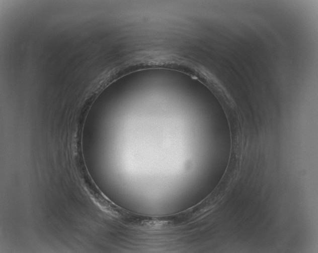 X0000081500497200701121142