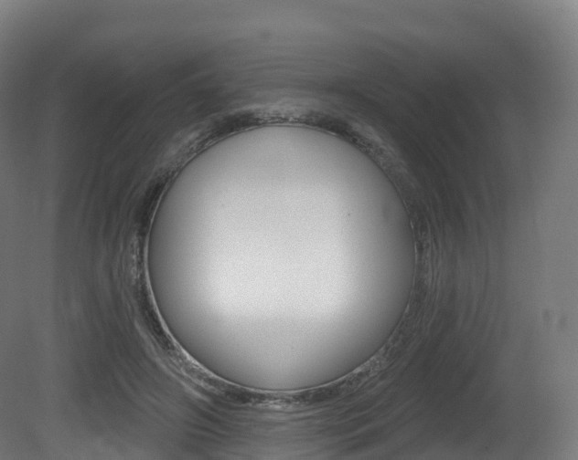 X0000081500498200701121142