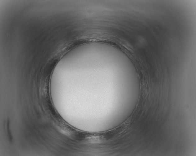 X0000081500499200701121142