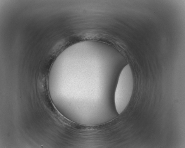 X0000081500503200701121142