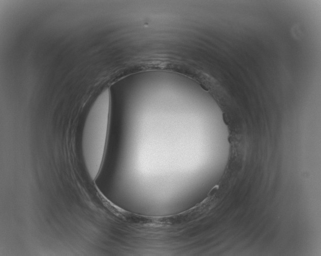 X0000081500504200701121142