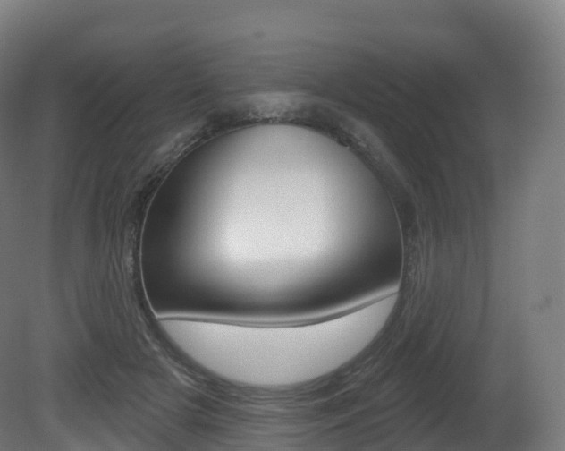X0000081500505200701121142