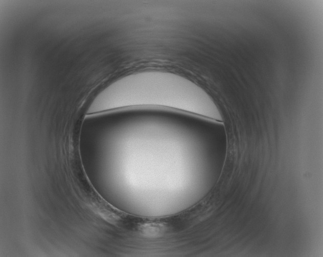 X0000081500508200701121142