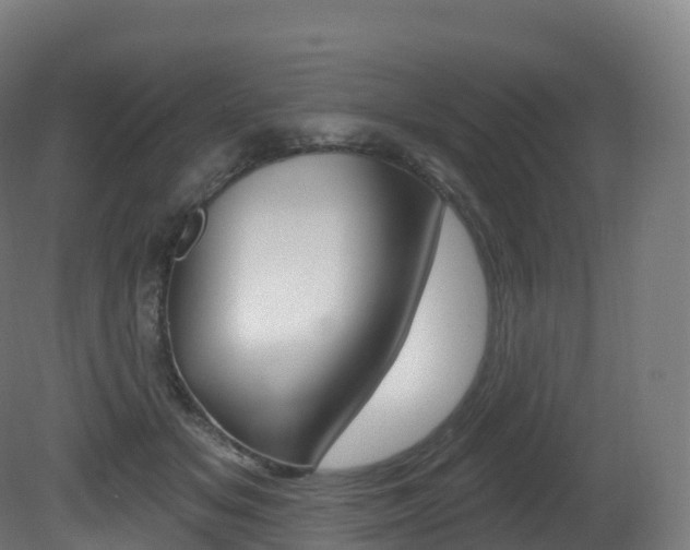 X0000081500509200701121142