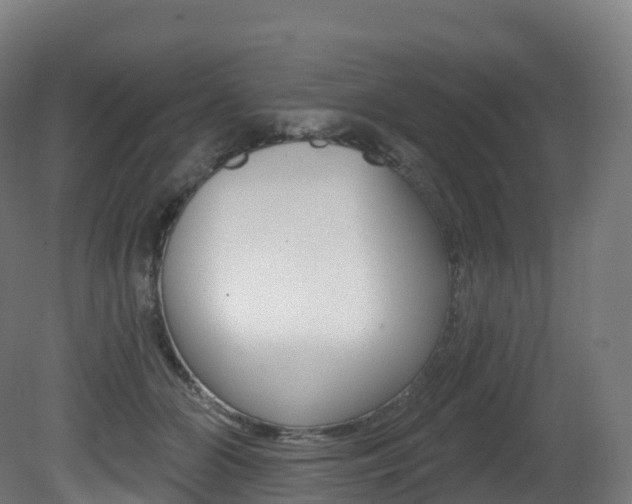 X0000081500510200701121142
