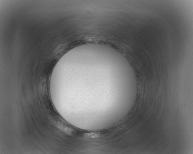 X0000081500511200701121142