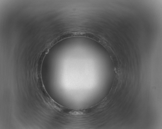 X0000081500512200701121142