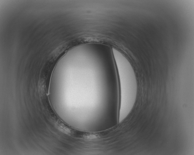 X0000081500513200701121142