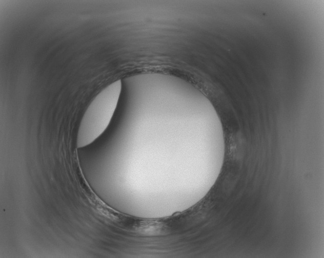 X0000081500514200701121142