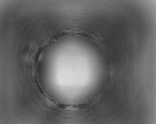 X0000081500515200701121142