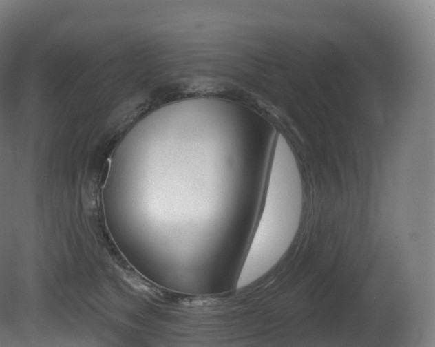 X0000081500517200701121142