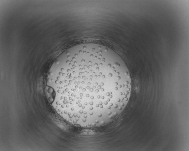 X0000081500519200701121142