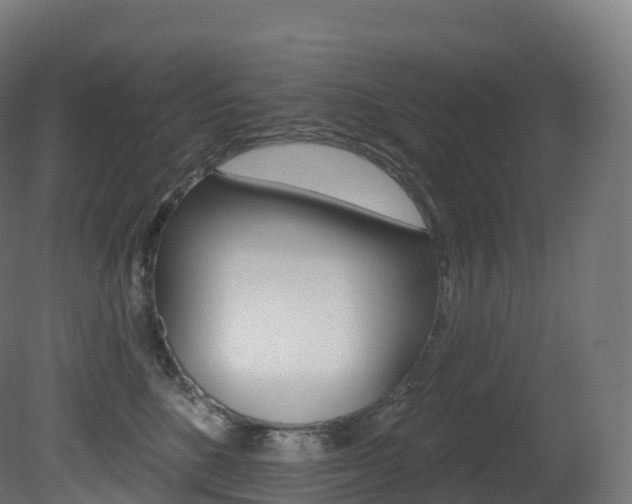 X0000081500520200701121142
