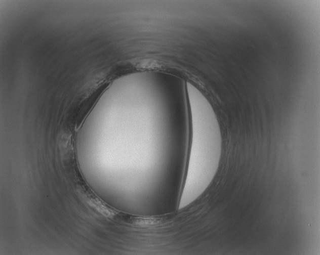 X0000081500521200701121142