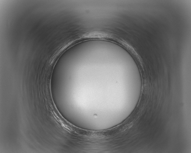X0000081500529200701121141