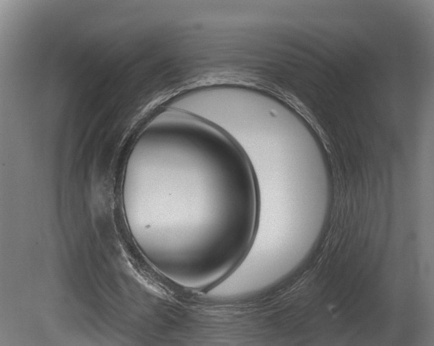 X0000081500530200701121141