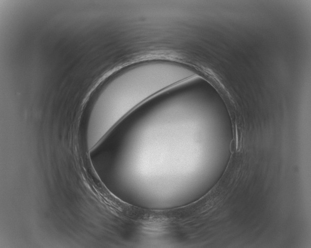 X0000081500531200701121141