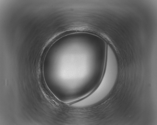X0000081500532200701121141
