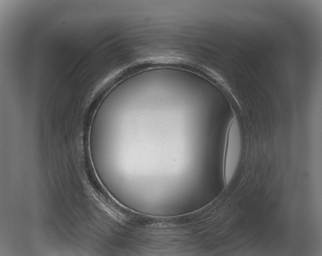 X0000081500535200701121141