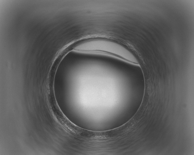 X0000081500536200701121141