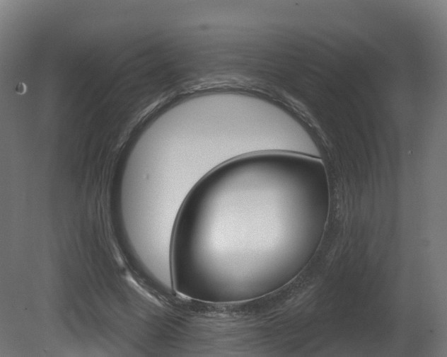 X0000081500538200701121141