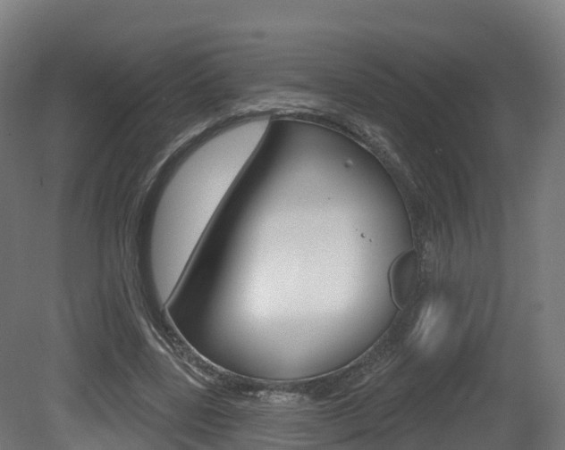 X0000081500539200701121141