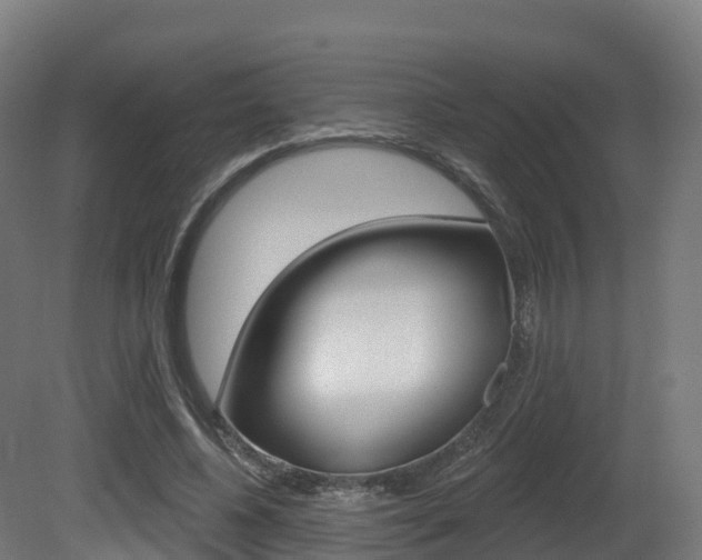 X0000081500540200701121141