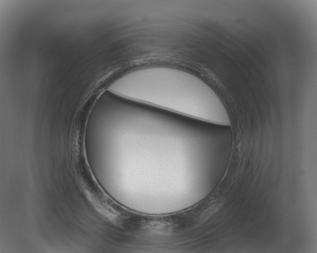 X0000081500542200701121141
