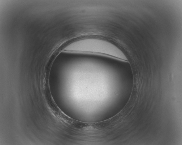 X0000081500544200701121141