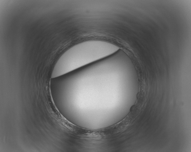 X0000081500545200701121141