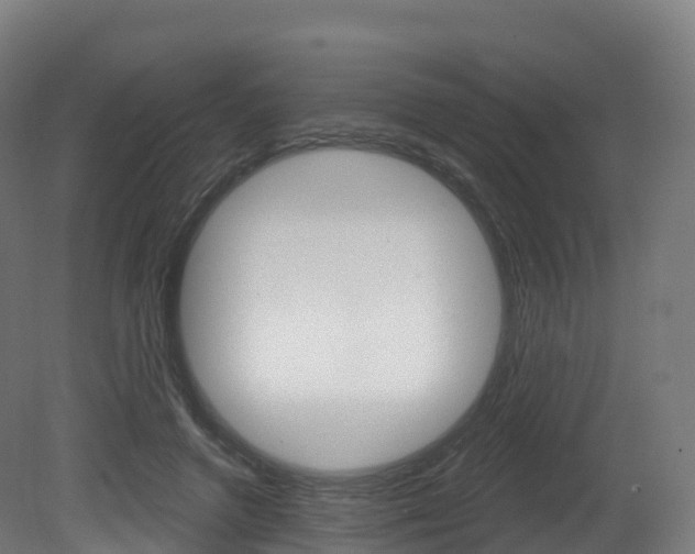 X0000081500546200701121141