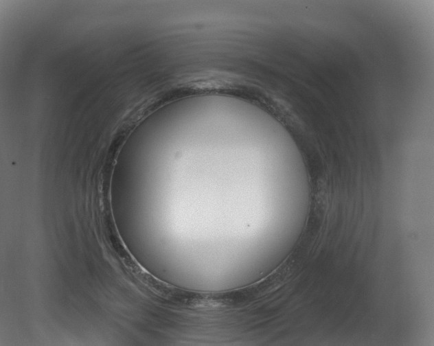 X0000081500547200701121141