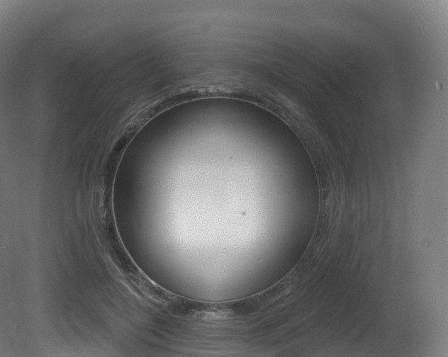 X0000081500548200701121141