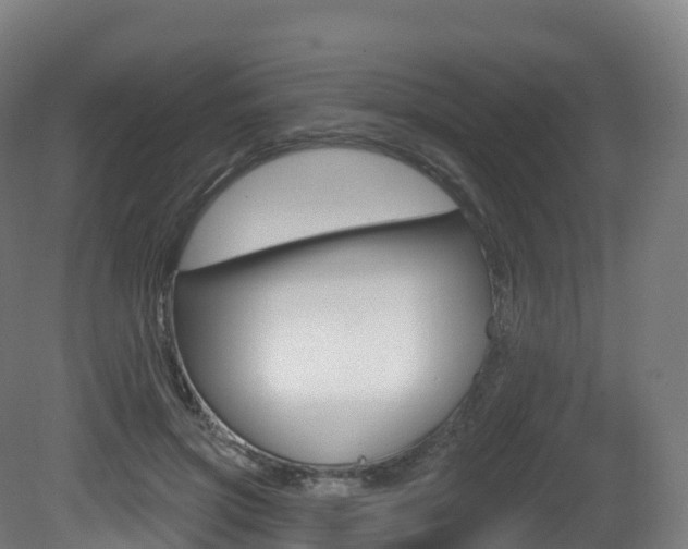 X0000081500549200701121141
