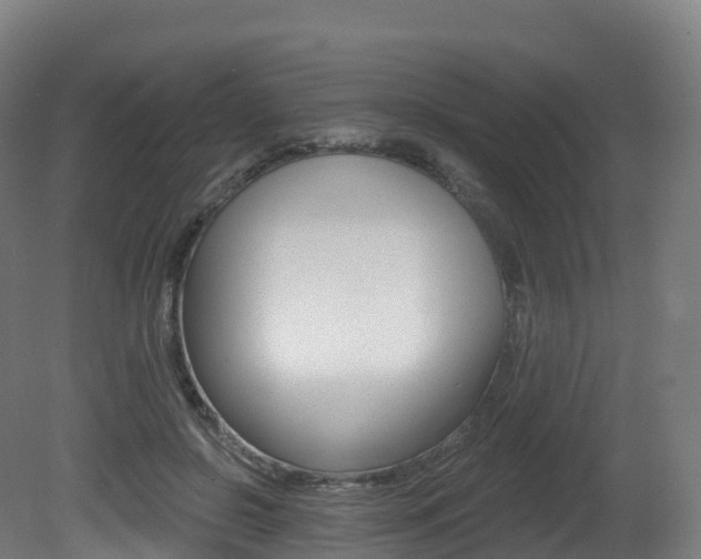 X0000081500550200701121141