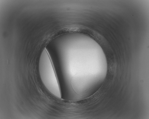 X0000081500551200701121141
