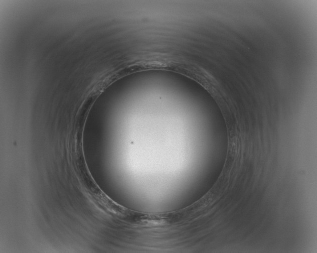 X0000081500552200701121141