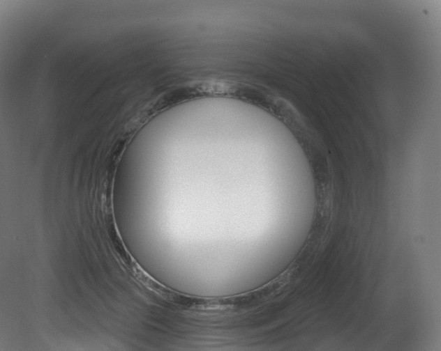 X0000081500553200701121141