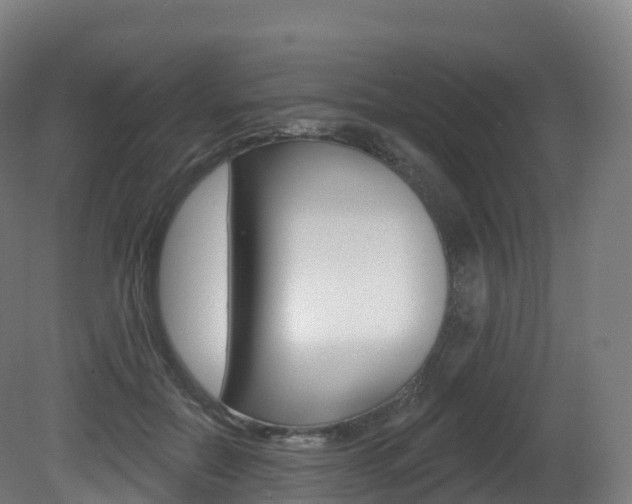 X0000081500554200701121141