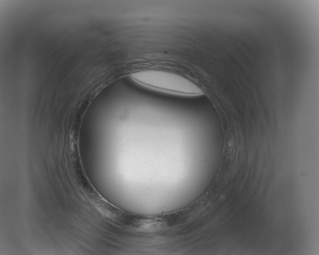 X0000081500555200701121141
