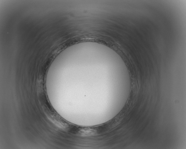 X0000081500557200701121141