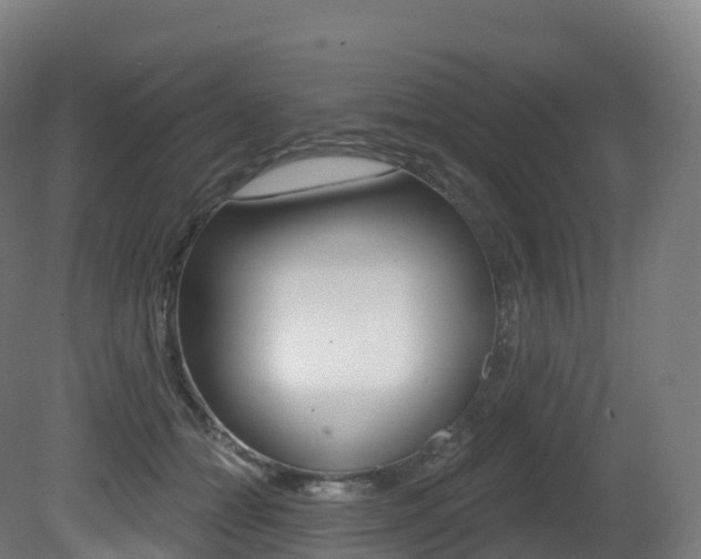 X0000081500558200701121141