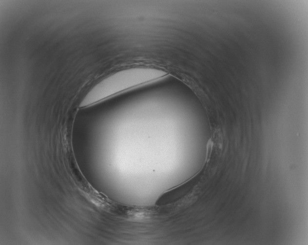 X0000081500564200701121142