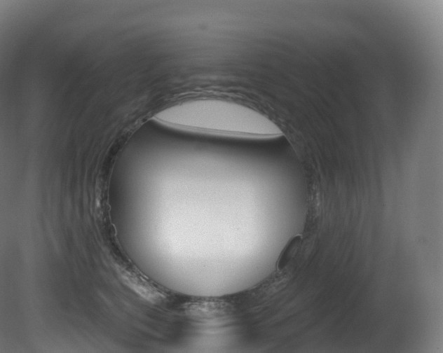 X0000081500567200701121142