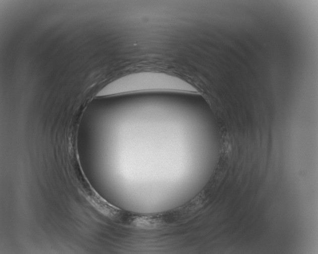 X0000081500568200701121142