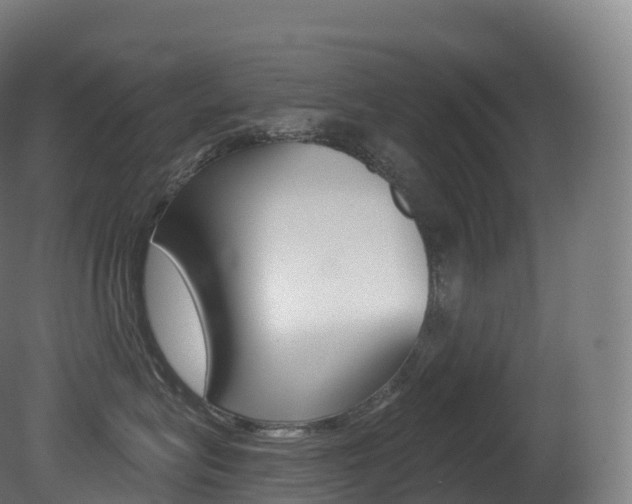 X0000081500575200701121142