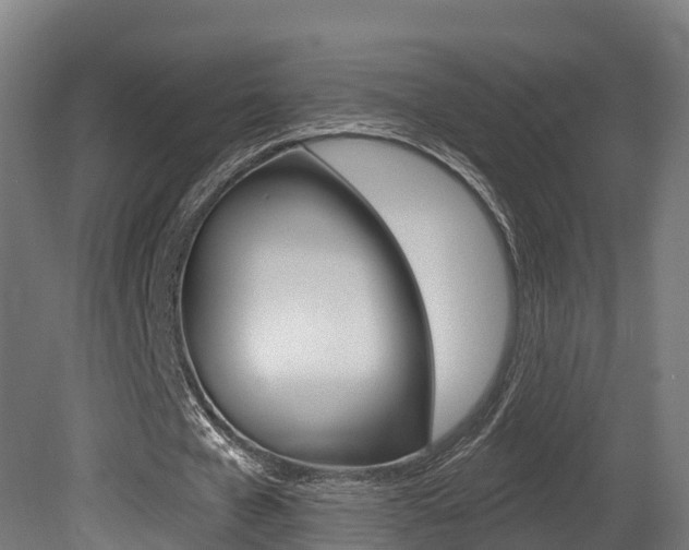 X0000081500577200701121141