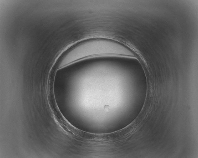 X0000081500580200701121141