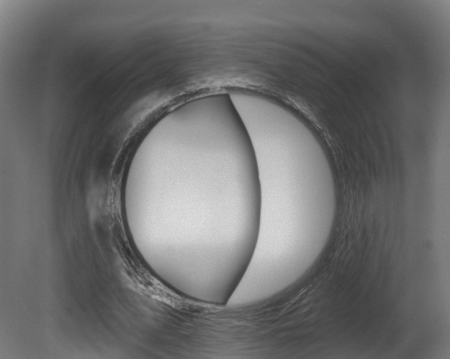 X0000081500583200701121141