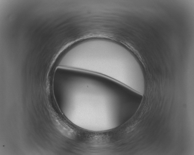 X0000081500584200701121141